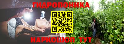 крисы Лесосибирск