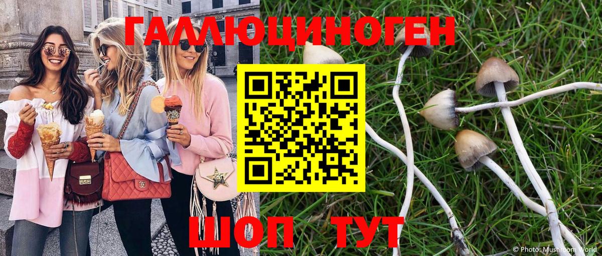 Галлюциногенные грибы мухоморы  Вход с VPN  Химки 